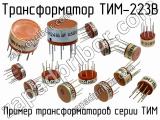 ТИМ-223В 