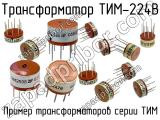ТИМ-224В 