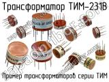 ТИМ-231В 