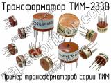 ТИМ-233В 