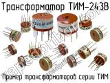 ТИМ-243В 