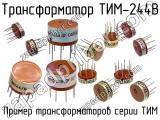 ТИМ-244В 