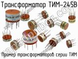 ТИМ-245В 