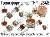 ТИМ-254В 