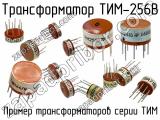 ТИМ-256В 
