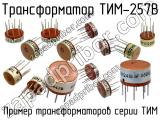 ТИМ-257В 