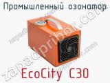 Промышленный озонатор EcoCity C30  