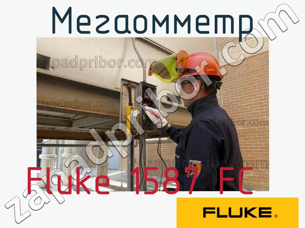 Fluke 1587 FC - Мегаомметр - фотография.
