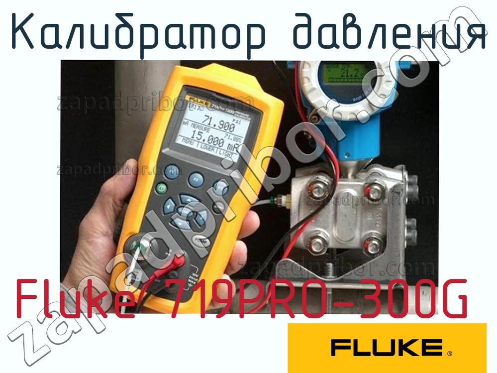 Fluke 719PRO-300G - Калибратор давления - фотография.