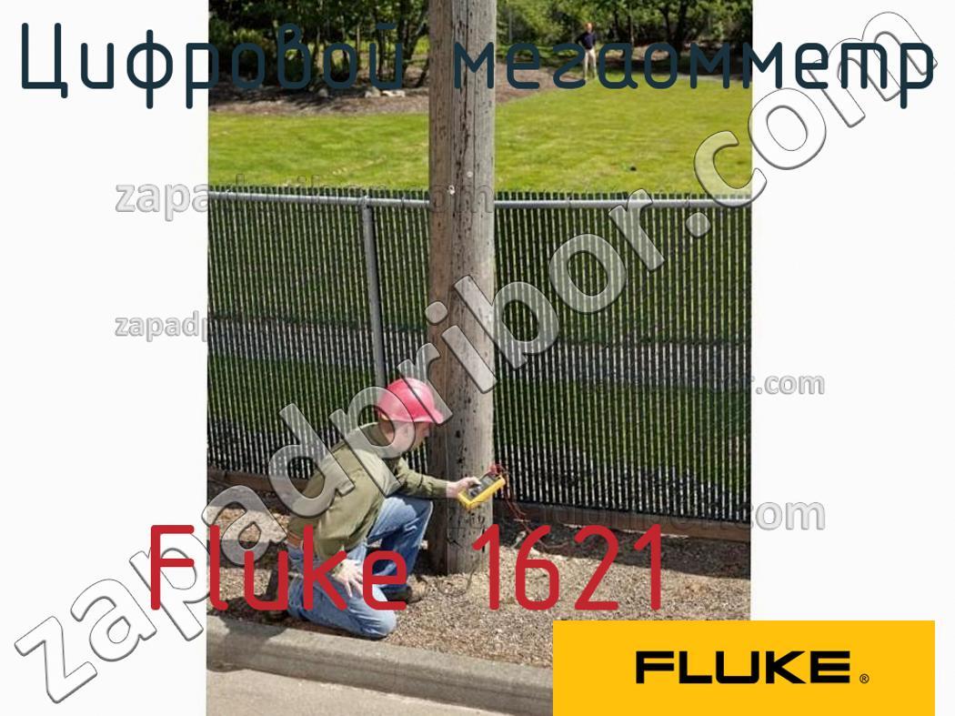 Fluke 1621 - Цифровой мегаомметр - фотография.
