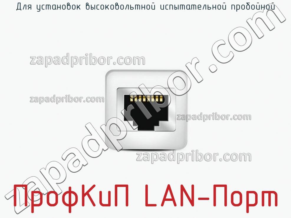 ПрофКиП LAN-Порт - Для установок высоковольтной испытательной пробойной - фотография.
