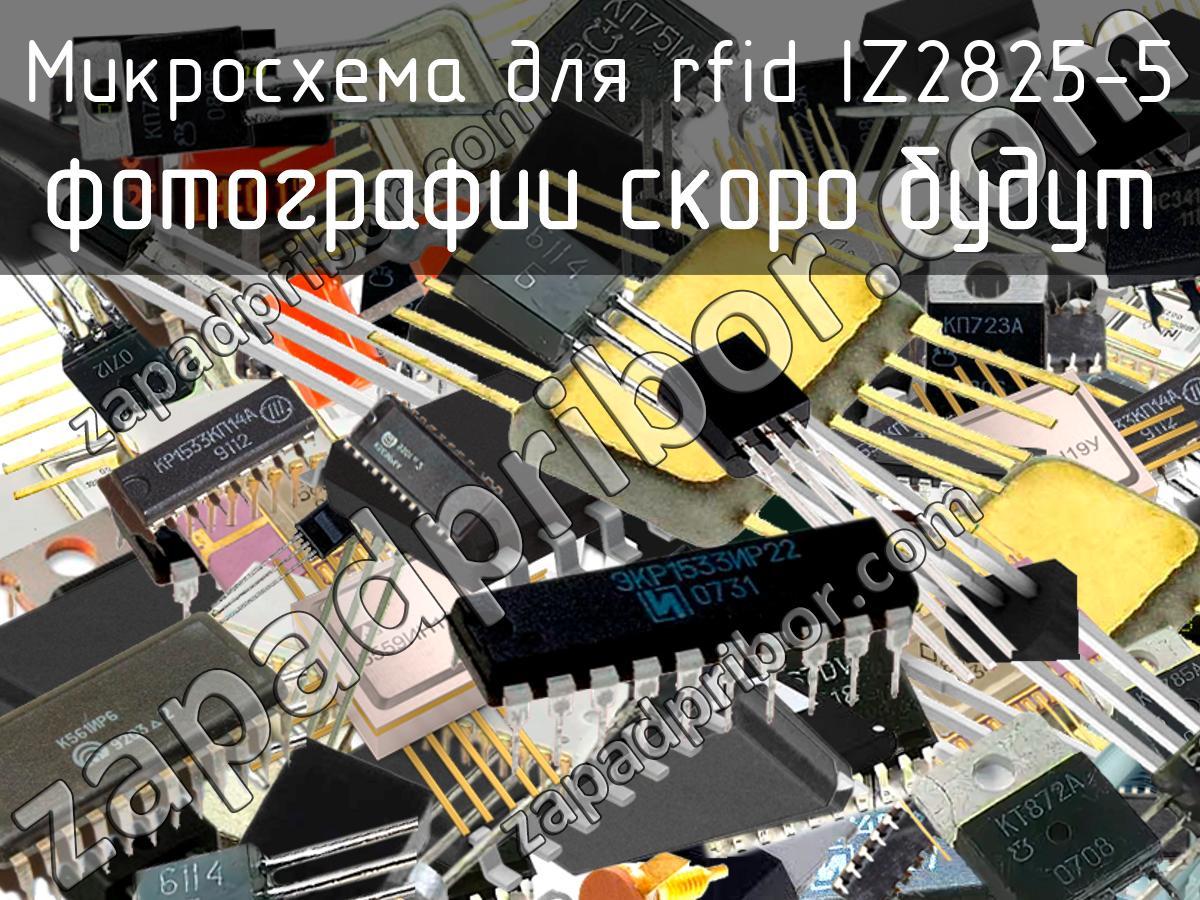 IZ2825-5 - Микросхема для rfid - фотография.