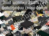 2ДШ142А9 фотография диода.