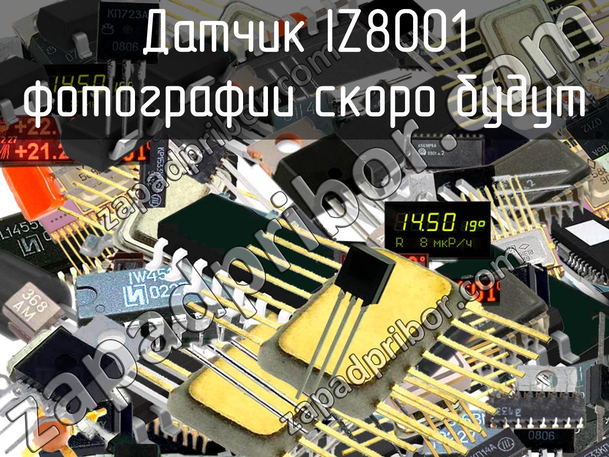 IZ8001 - Датчик - фотография.