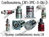 СЖ1-3МС-З-06-3 