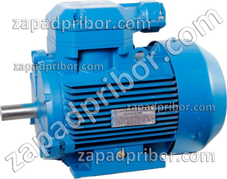 4ВР71В6 IM2081 фотография электродвигателя.