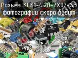 Разъём KLS1-4.20-2X02-SB  