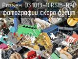 Разъём DS1013-10RSIB-B-0 