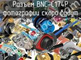 Разъём BNC-C174P 