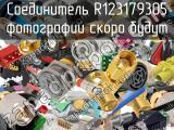 Разъём R123179305 соединитель 