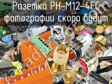 Розетка PH-M12-4FC 