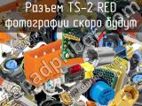 Разъем TS-2 RED 