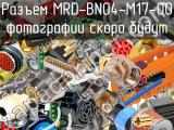 Разъем MRD-BN04-M17-00 