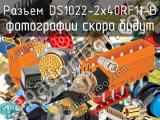 Разъем DS1022-2x40RF11-B 