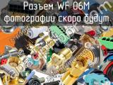 Разъем WF 06M 