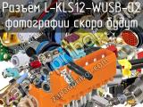 Разъём L-KLS12-WUSB-02 