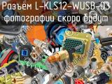Разъём L-KLS12-WUSB-03 