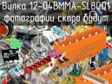 Вилка 12-04BMMA-SL8001 