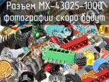 Разъем MX-43025-1000 