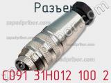 Разъем C091 31H012 100 2 фотография 2.