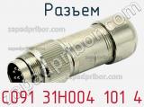 Разъем C091 31H004 101 4 фотография 2.