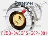 Разъем FLBB-04EGFS-GCP-001 