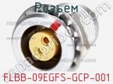 Разъем FLBB-09EGFS-GCP-001 