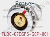 Разъем FLBC-07EGFS-GCP-001 