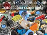 Разъем FLKB-04FGMS-GCP-209 