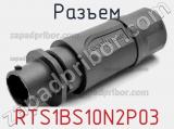 Разъем RTS1BS10N2P03