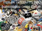 Разъем TR1004PMS1NB 