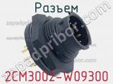 Разъем 2CM3002-W09300