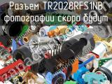 Разъем TR2028RFS1NB