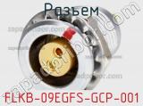 Разъем FLKB-09EGFS-GCP-001 фотография 2.