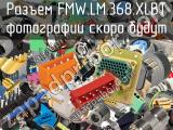 Разъем FMW.LM.368.XLBT 