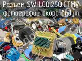 Разъем SWH.00.250.CTMV