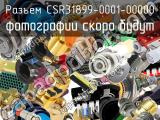 Разъем CSR31899-0001-00000 