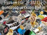 Разъем FGP.2F.312.CLC 