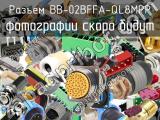 Разъем BB-02BFFA-QL8MPP 