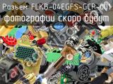 Разъем FLKB-04EGFS-GCP-001 